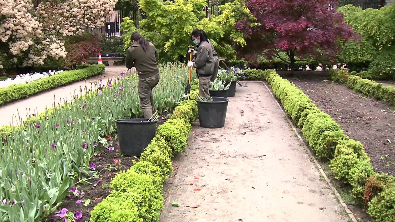 Aquí hay trabajo - 13/05/22 - ver ahora