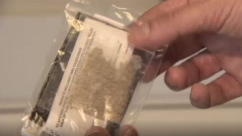 Detectan en España un nuevo tipo de anfetamina con graves efectos secundarios | Ver