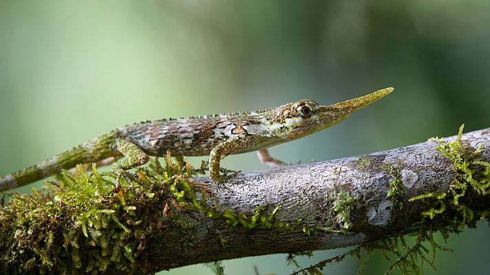 Siete mundos un planeta - Sudamérica
