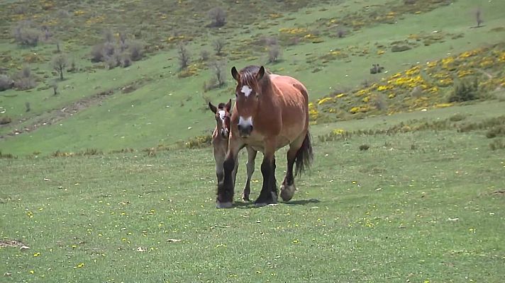España Directo - España Directo - 16/05/22
