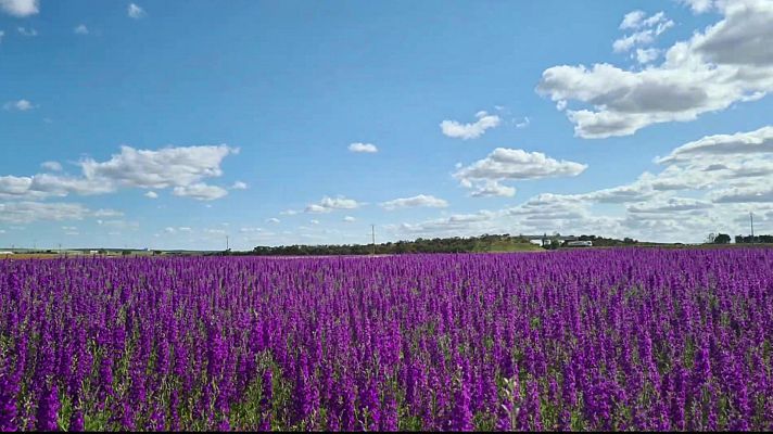 El tiempo - Temperaturas nocturnas en ascenso en el extremo sureste peninsular