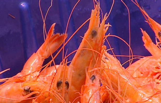  - Evolución del menú navideño