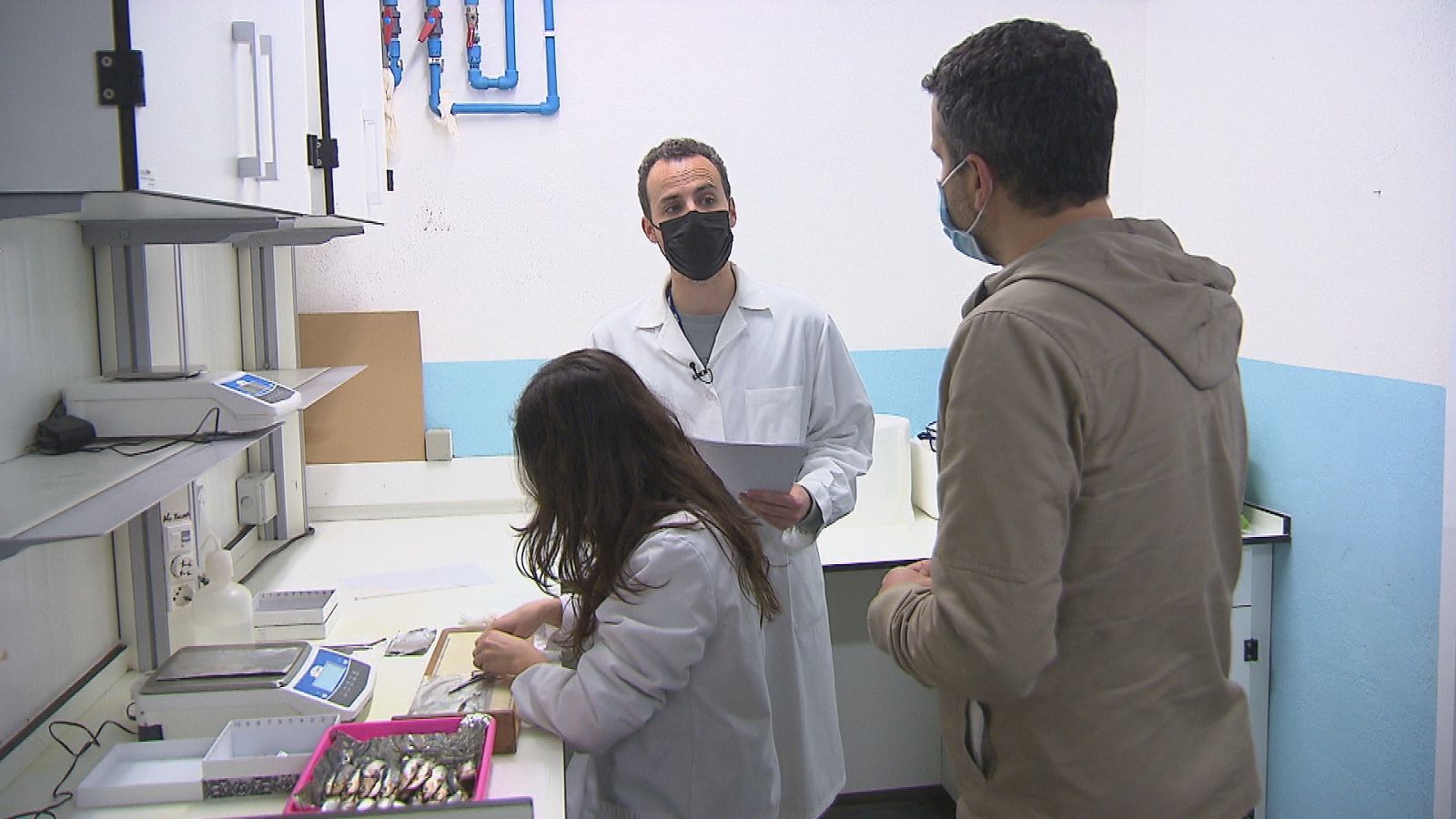 Sumario de "Plastívoros", en Comando Actualidad - Comando Actualidad | Ver