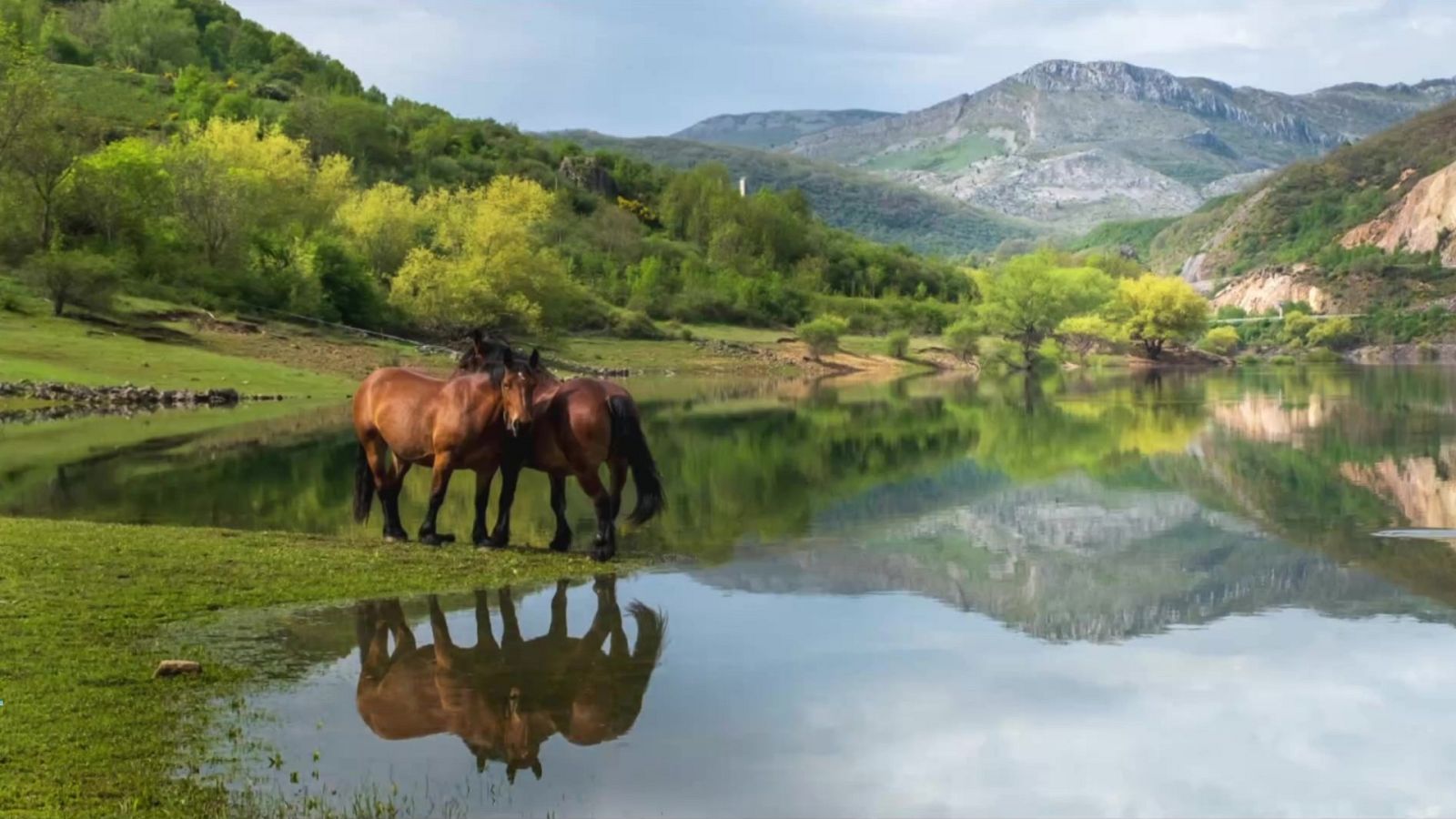 Intervalos de viento fuerte en el litoral de Galicia - ver ahora