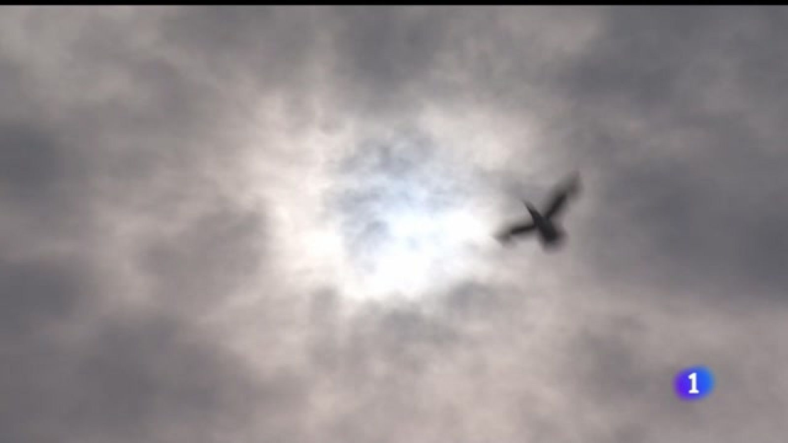 El tiempo en Asturias - 18/05/2022 - Ver ahora