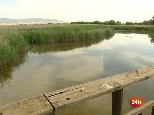 Ciencia y tecnología en Rtve.es - Tabla de salvación para las Tablas