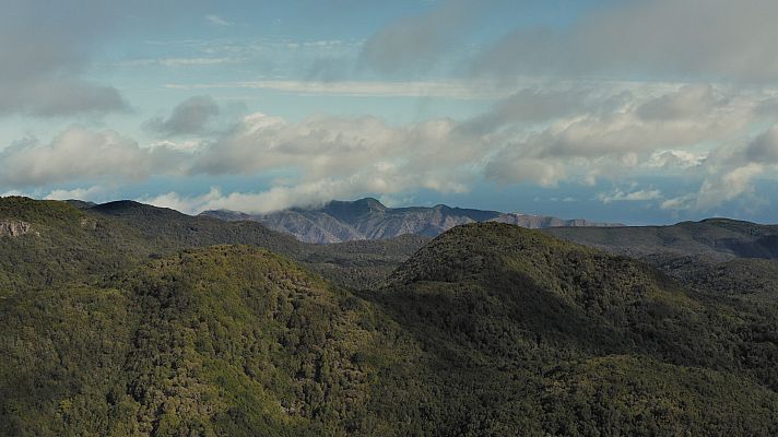 Somos Documentales - Islas Canarias. Las hijas del volcan