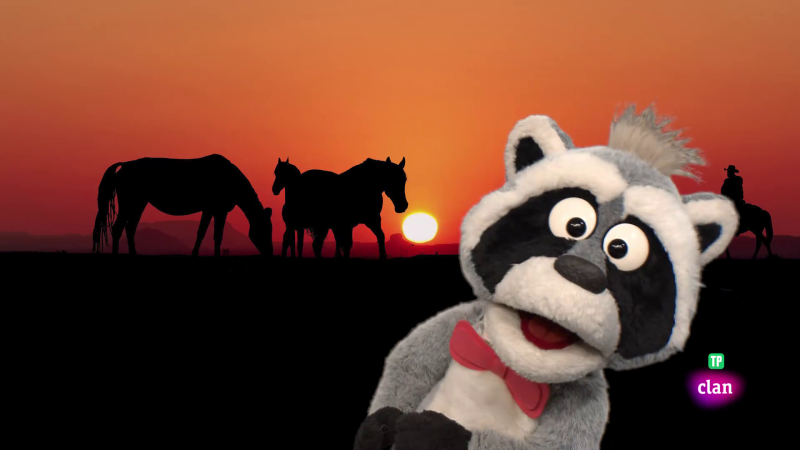 'Est� mapachando' - Al paso, al trote, al galope y m�s - Aprendemos en Clan | Ver