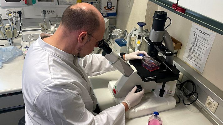 Telediario 1 - Madrid confirma siete casos de viruela del mono y otros 24 sospechosos