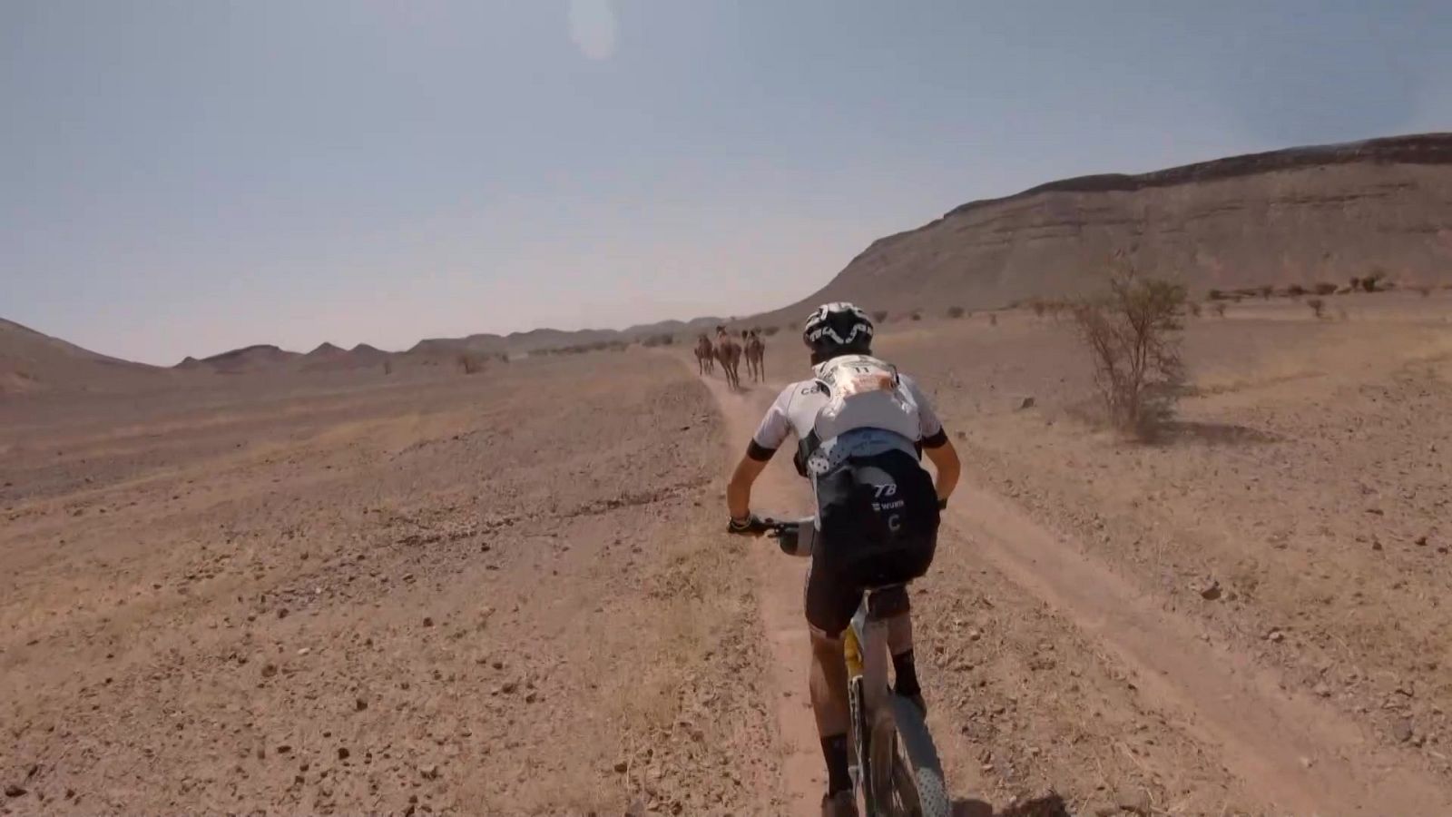 Va de bikes - 2022 - Programa 4 - ver ahora