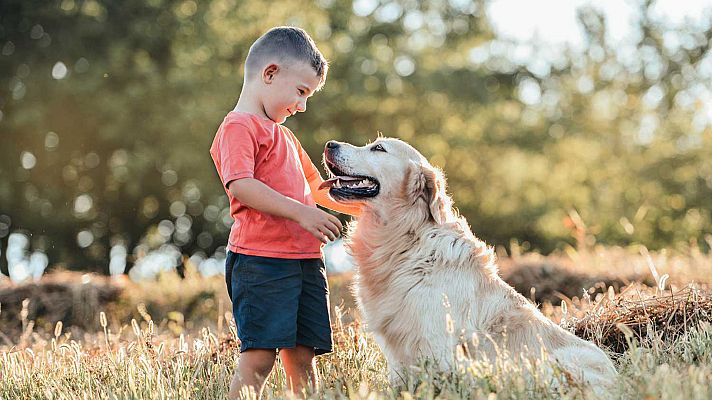 Para todos La 2 - Para todos La 2 - 14/05/22 - Lengua de signos