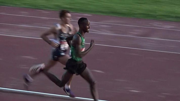 Atletismo - Camp. España Clubes División de honor hombres 2ª jornada
