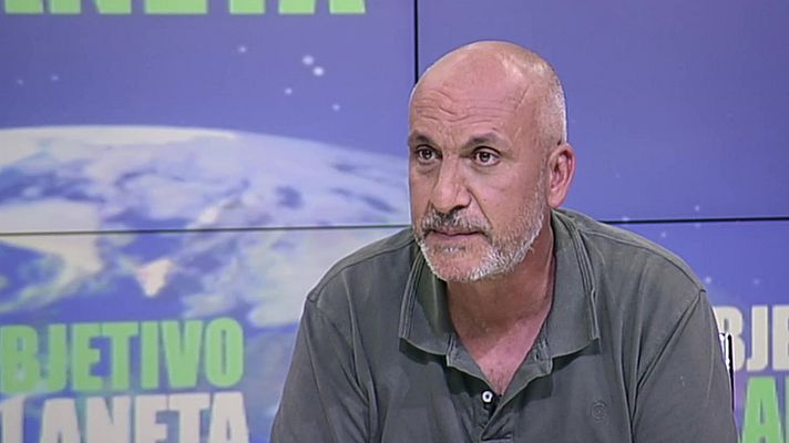 Objetivo Planeta - Salmones y anguilas en grave peligro