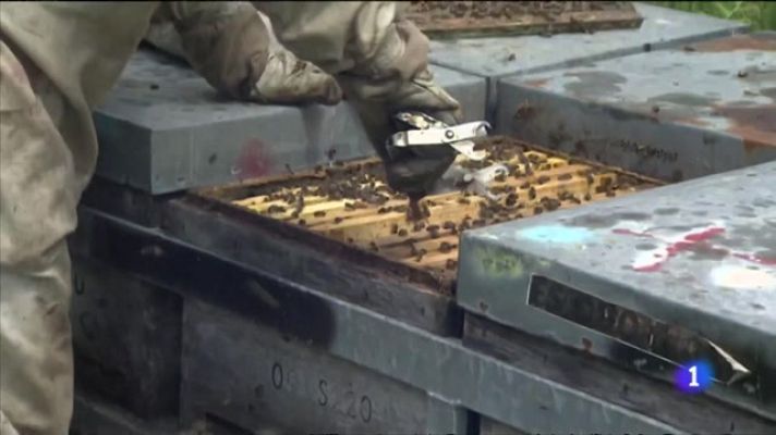 L'informatiu - Comunitat Valenciana - L'Informatiu Comunitat Valenciana 2 - 20/05/22