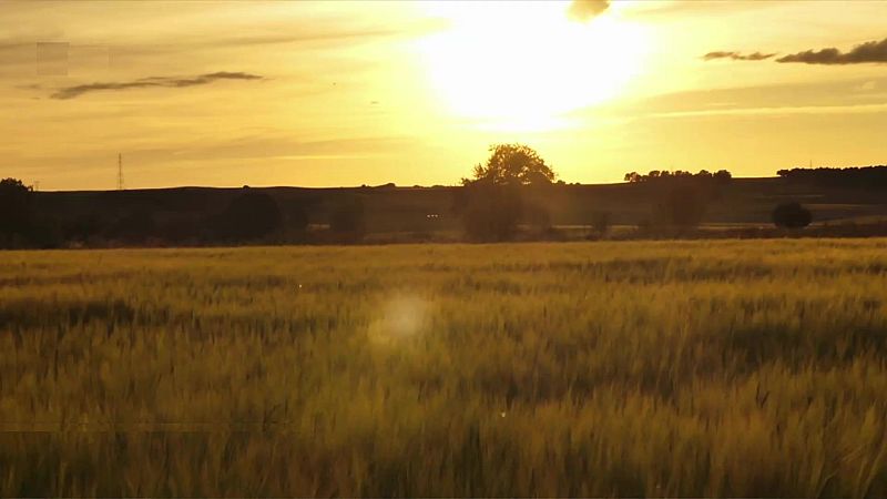 Temperaturas significativamente altas en zonas de la mitad sur peninsular - ver ahora