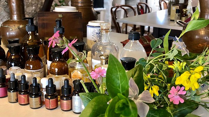 Flash moda - Aprende a utilizar el poder de los aceites esenciales