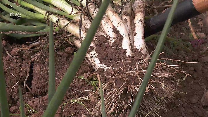 Aquí la Tierra - Aquí la Tierra - 22/05/22