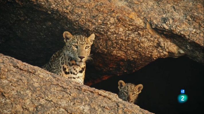 Som Documentals - Les Roques dels Lleopards