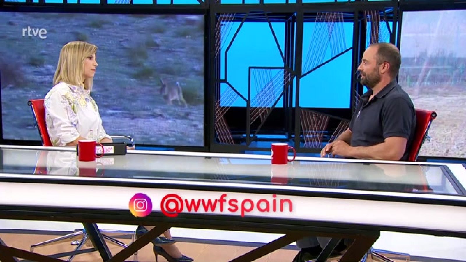 La aventura del saber - El proyecto Life Iberconejo - ver ahora