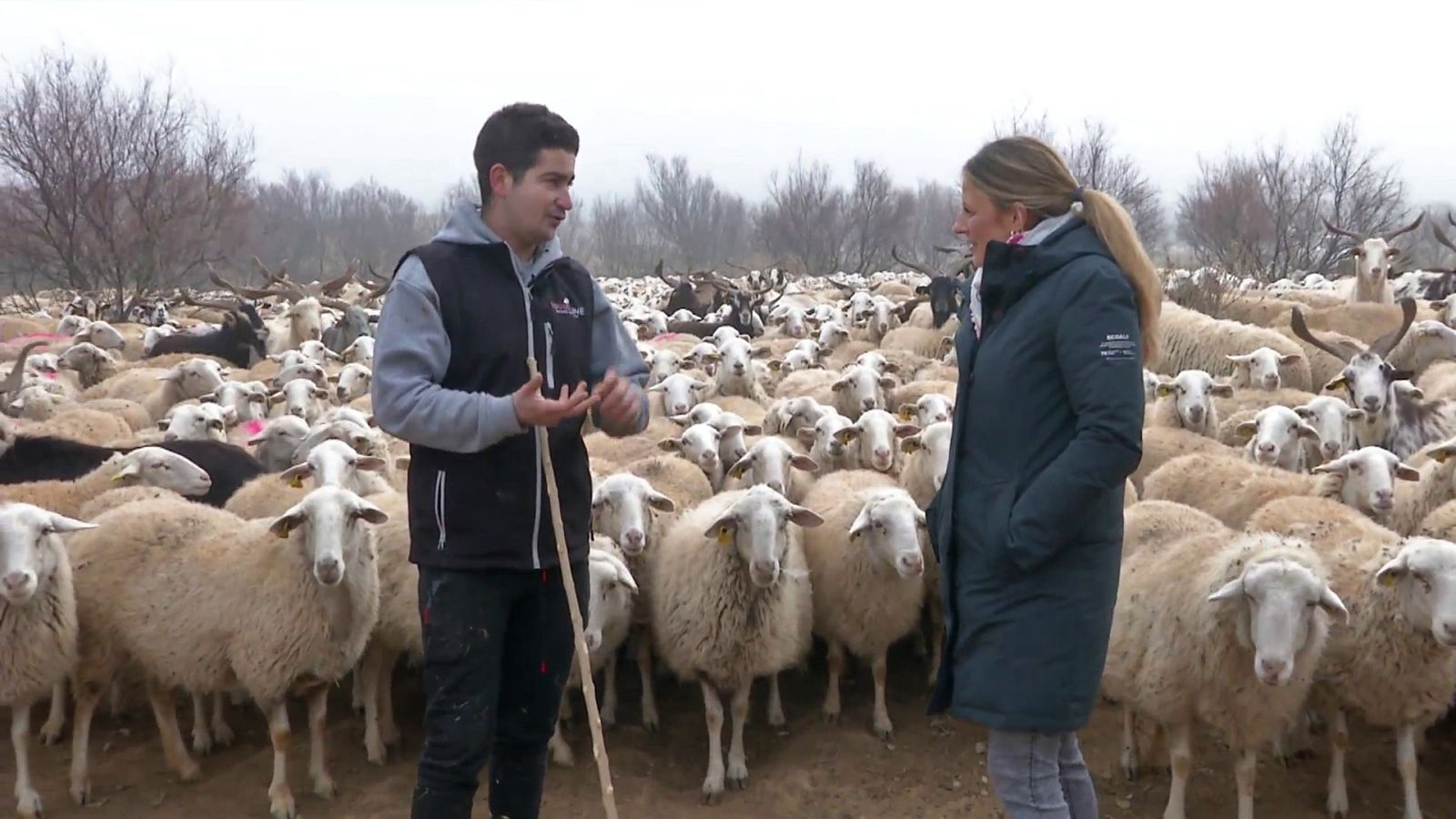 Comando actualidad - Sin relevo - Ver ahora