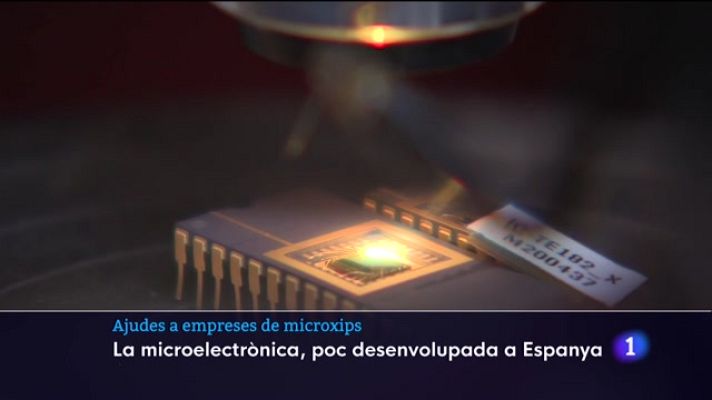 Informatiu Balear - Micro-xips a Alaró