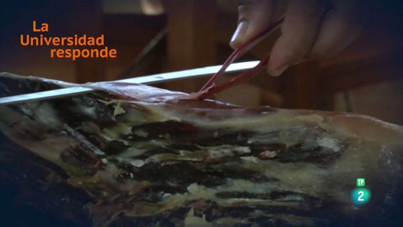 La aventura del saber - ¿Cuál es el secreto para hacer un buen jamón? - ver ahora