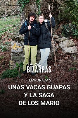 Rutas bizarras - Unas vacas guapas y la saga de los Mario