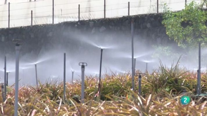 Telecanarias - Telecanarias 2 - 24/05/2022