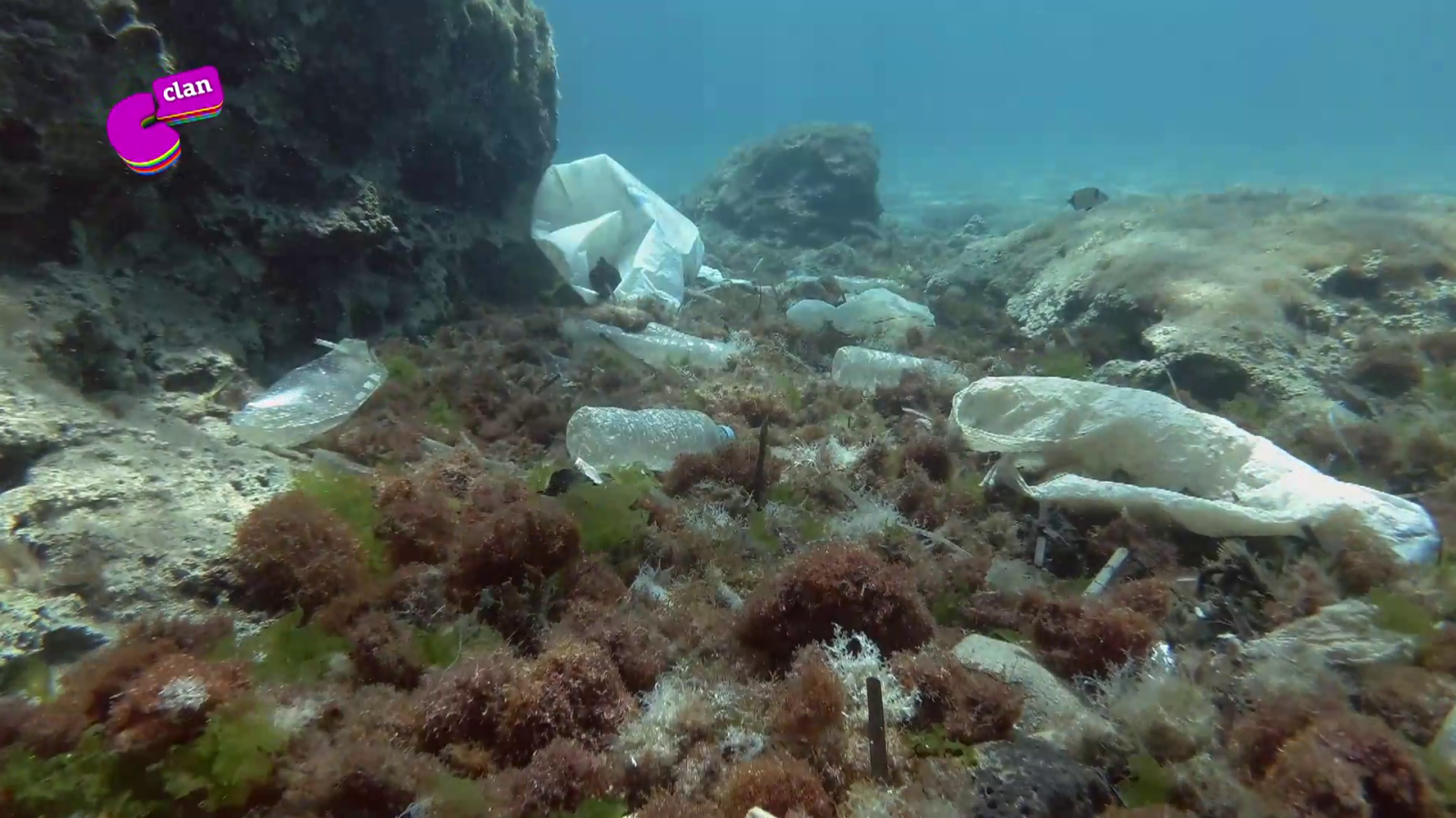 CAMPAÑA 'OCÉANOS' - Evita arrojar plásticos - El mes de... | Ver