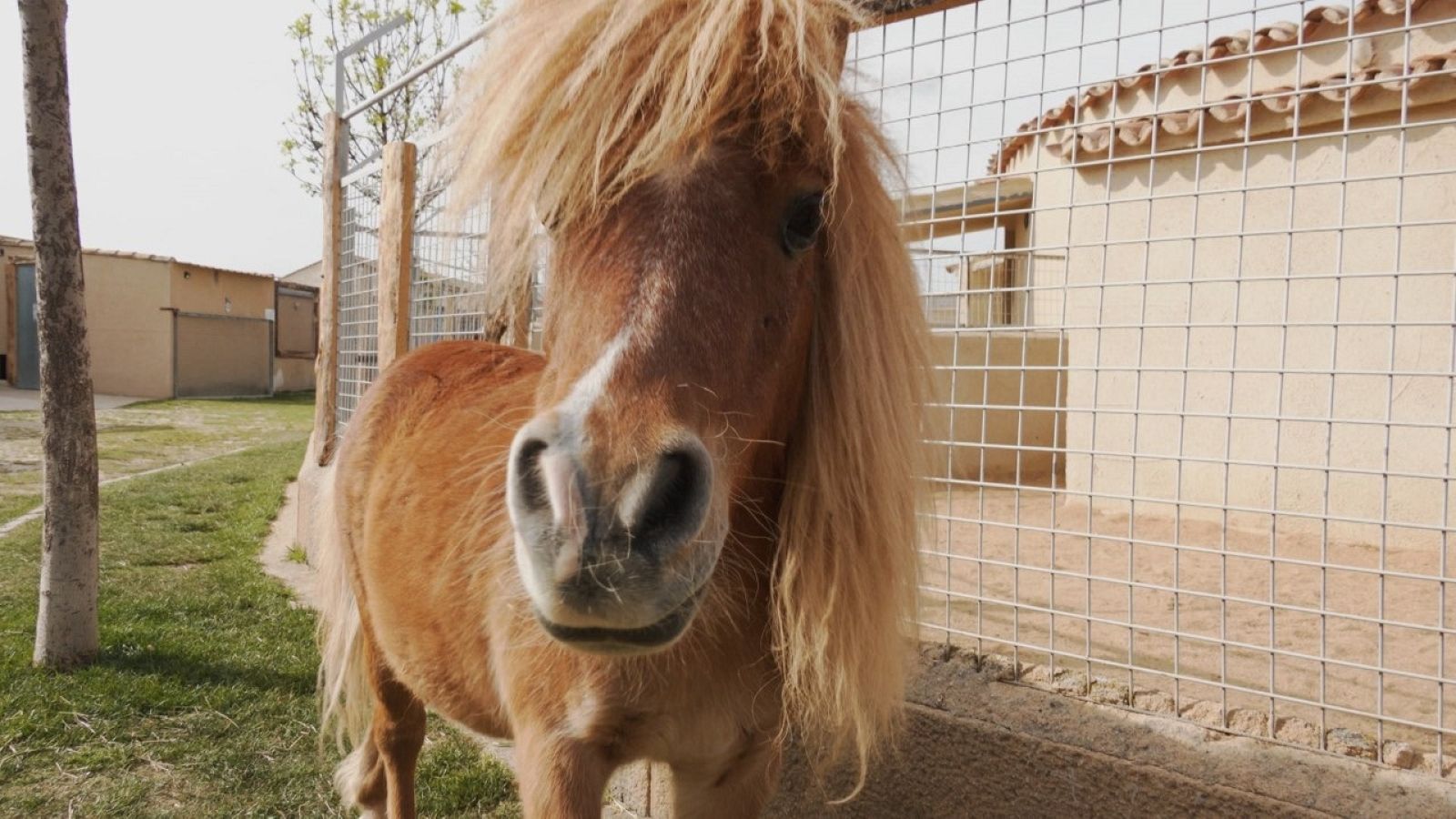 Aquí la Tierra - 25/05/22 - ver ahora