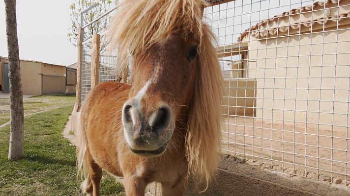 Aquí la Tierra - Aquí la Tierra - 25/05/22