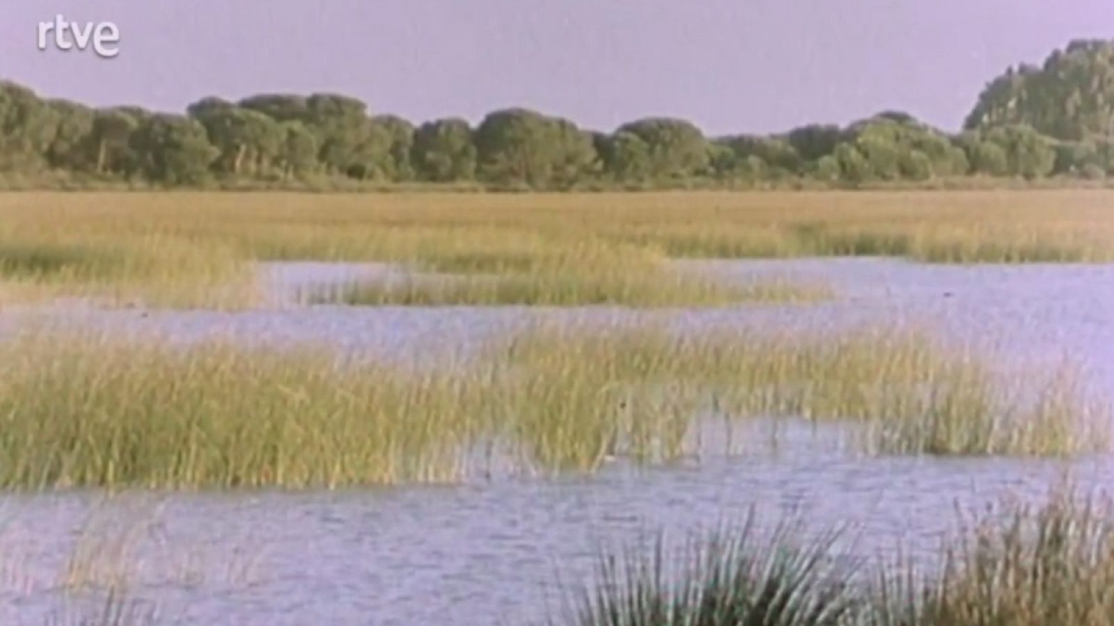 España húmeda - Fuentes de vida - España húmeda | Ver