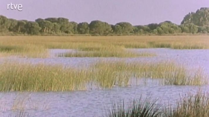 España húmeda - Fuentes de vida