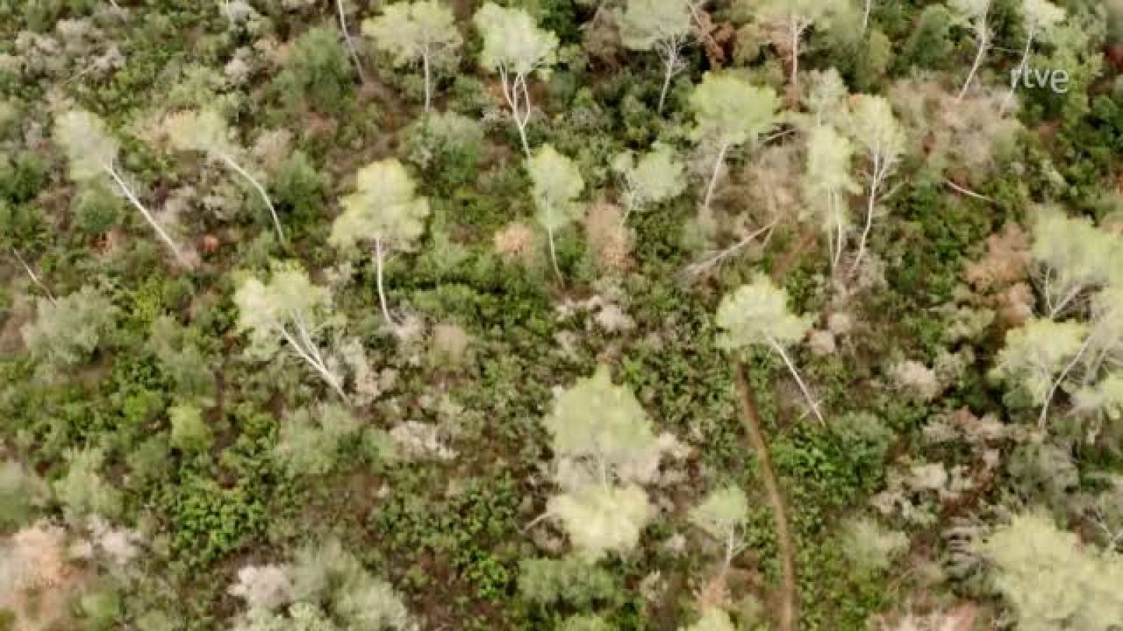 Fitmés - Cesc Escolà i Gemma Mengual fan rutina de glutis i abdomen - Veure ara