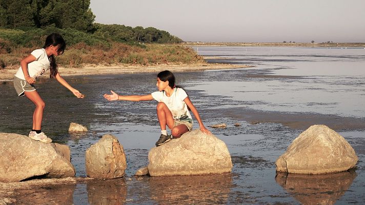 Para todos La 2 - Cinco variables psicológicas estimulan el altruismo