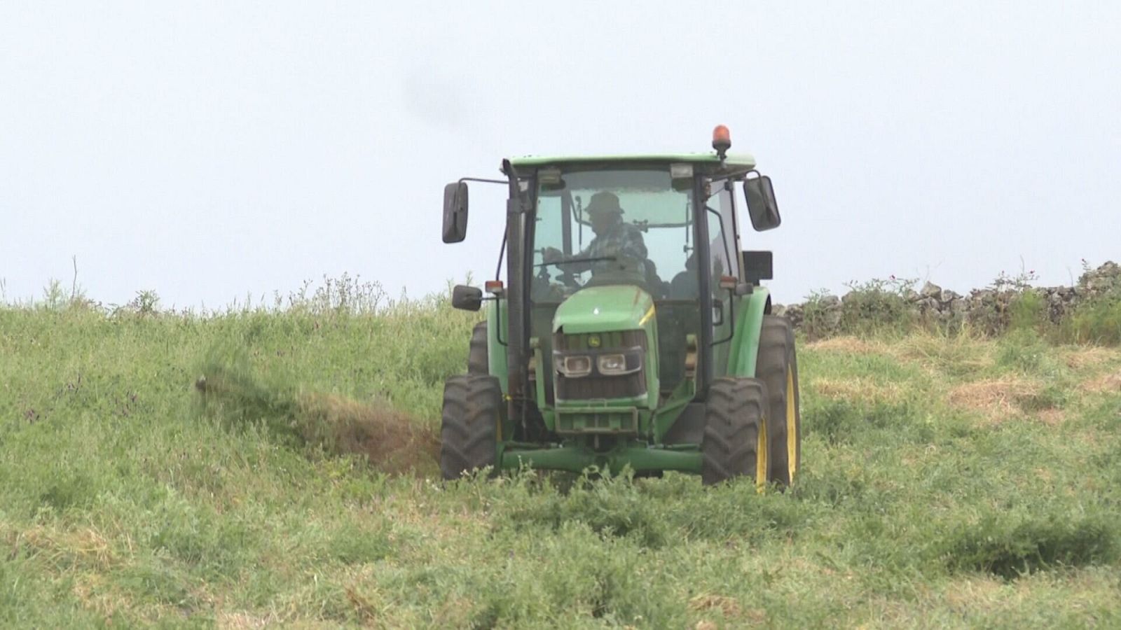 El Hierro espera por la declaración de emergencia hídrica | Ver