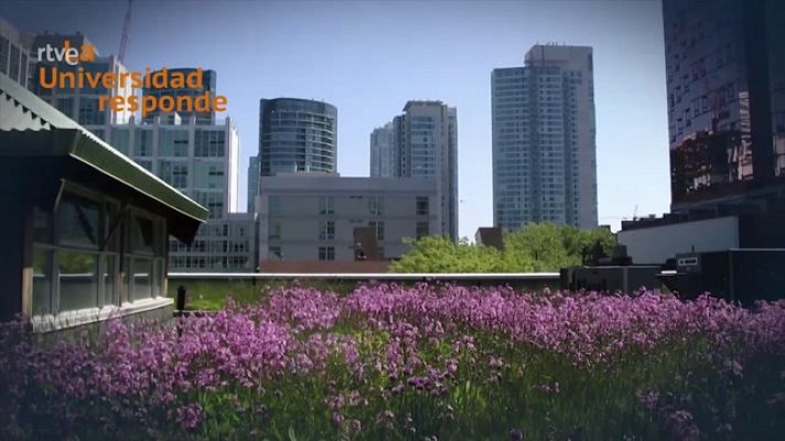 La aventura del Saber - ¿Qué son las cubiertas vegetales?