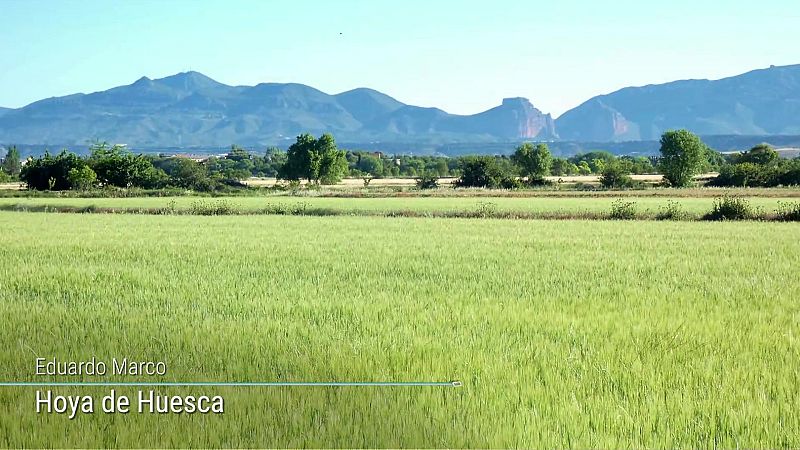 Viento fuerte o con intervalos de fuerte en el Ampurdán, Menorca, Estrecho y litoral noroeste de Galicia - ver ahora