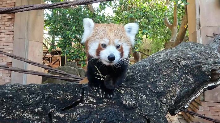 Aquí la Tierra - Aquí la Tierra - 27/05/22