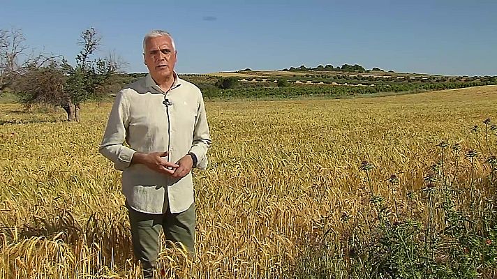 Agrosfera - Agrosfera - 28/05/22