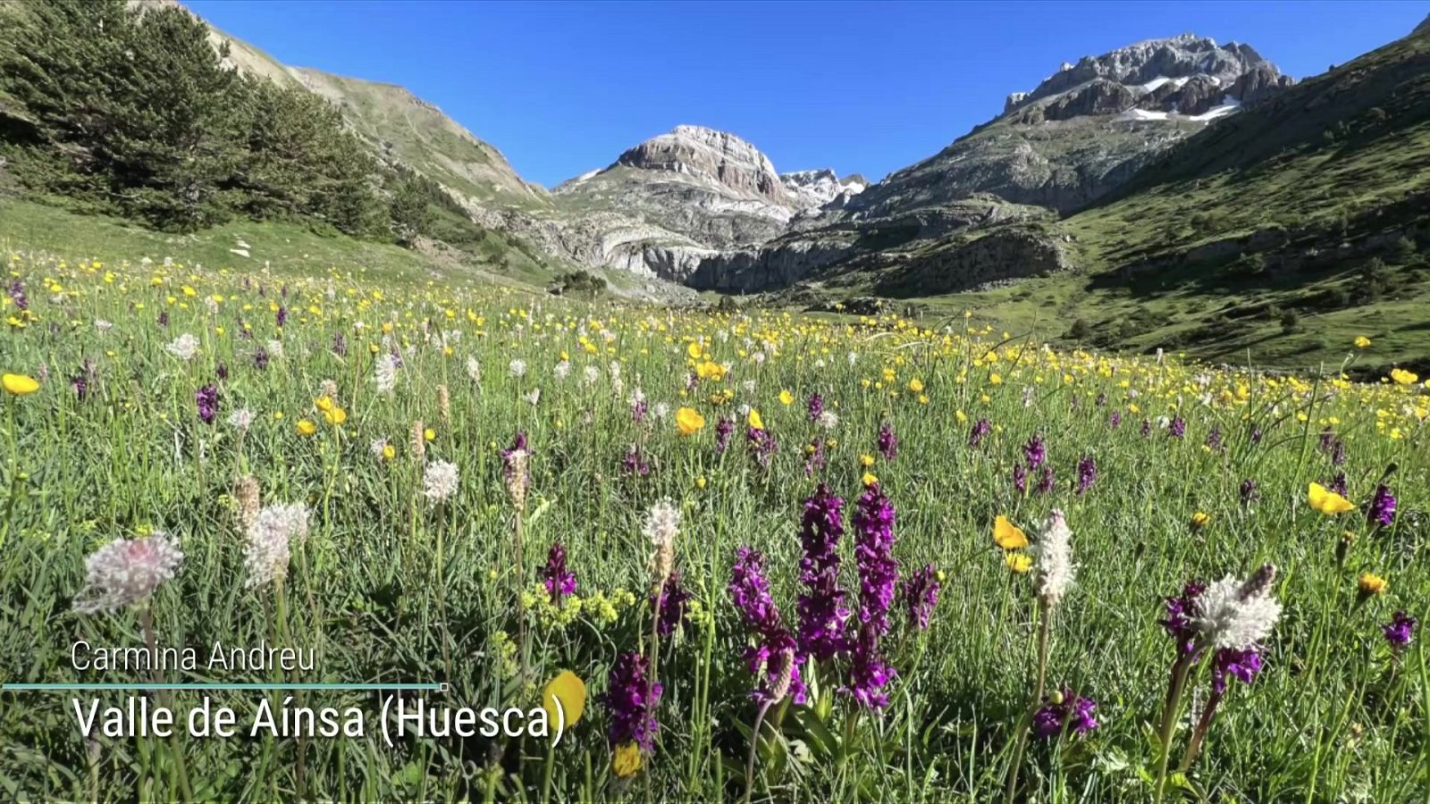 Probabilidad de tormentas fuertes y con granizo en áreas del interior del cuadrante noroeste, sur del Sistema Ibérico y Pirineos orientales - ver ahora