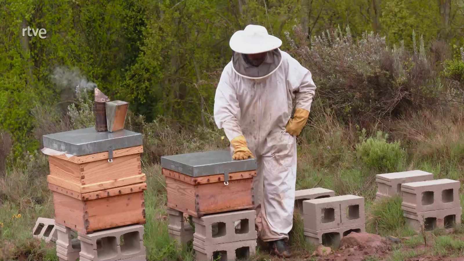 Aquí la Tierra - 29/05/22 - ver ahora