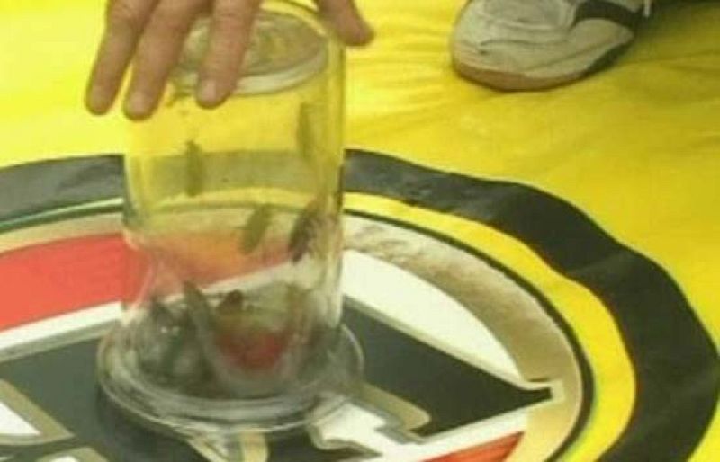 ...deportes locos 2 y corten | Ver