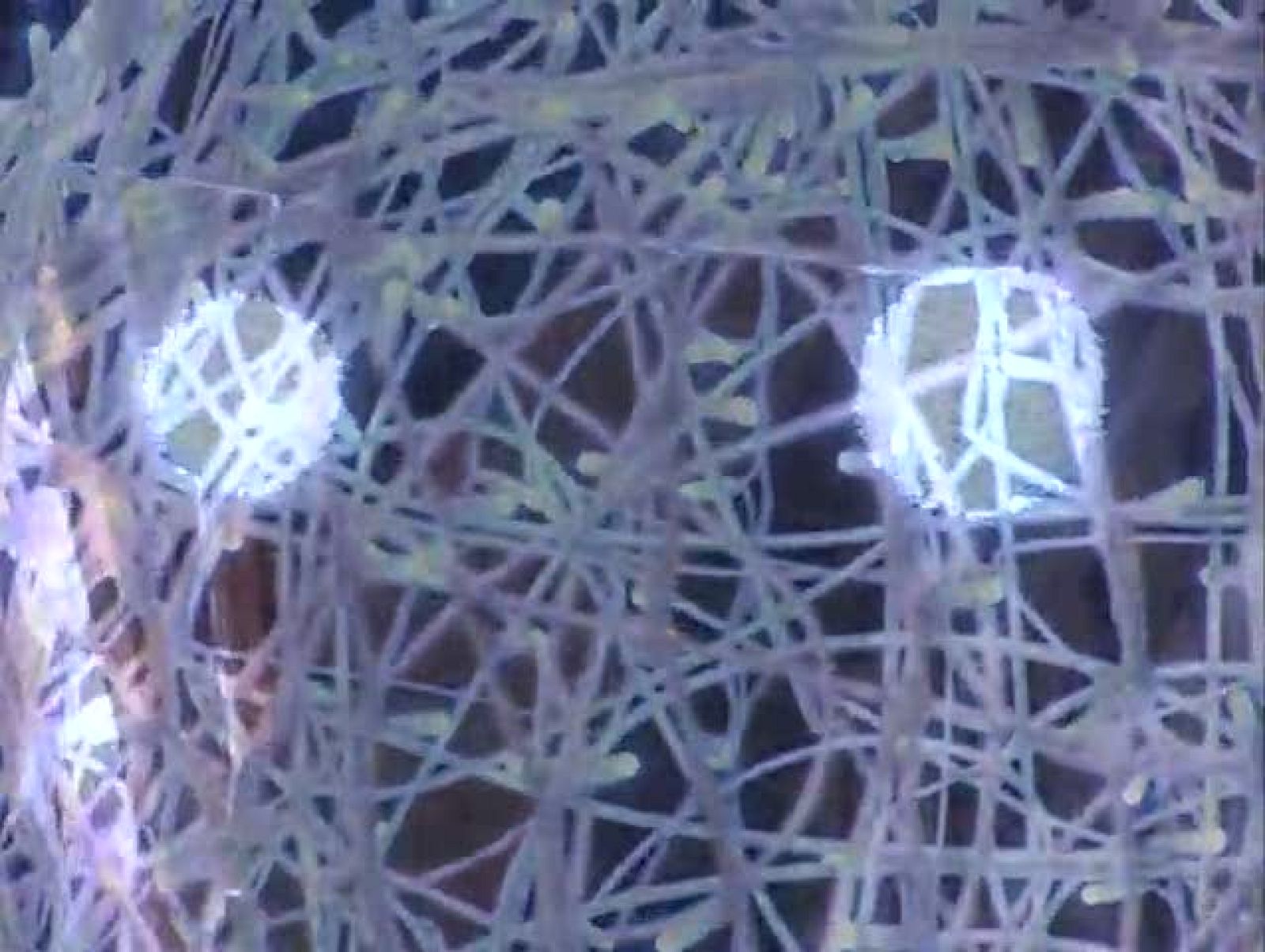 Noticias Aragón. (24/12/09)