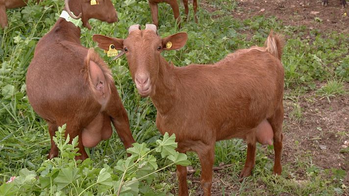 Aquí la Tierra - Aquí la Tierra - 30/05/22