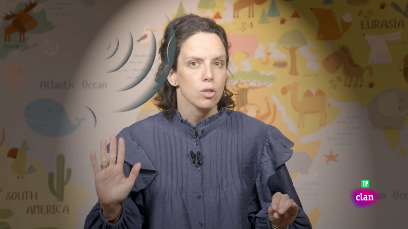 CIENCIAS SOCIALES - �Qu� ven las personas co  discapacidad visual? - Aprendemos en Clan | Ver