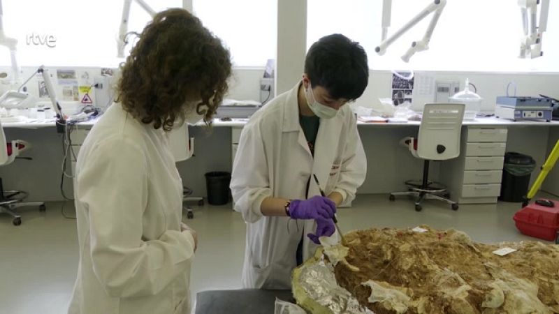 Aquí hay trabajo - Estatuto del Becario