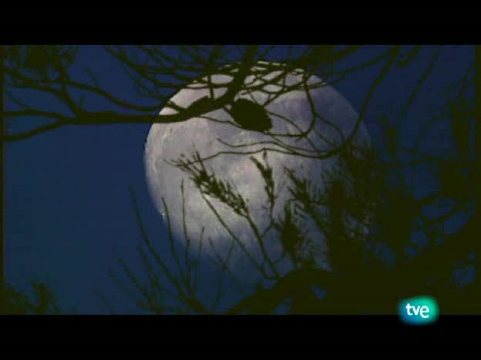 Jara y sedal - El reino de la niebla - Jara y sedal | Ver