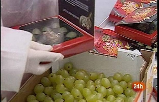  - Todos los detalles sobre las uvas
