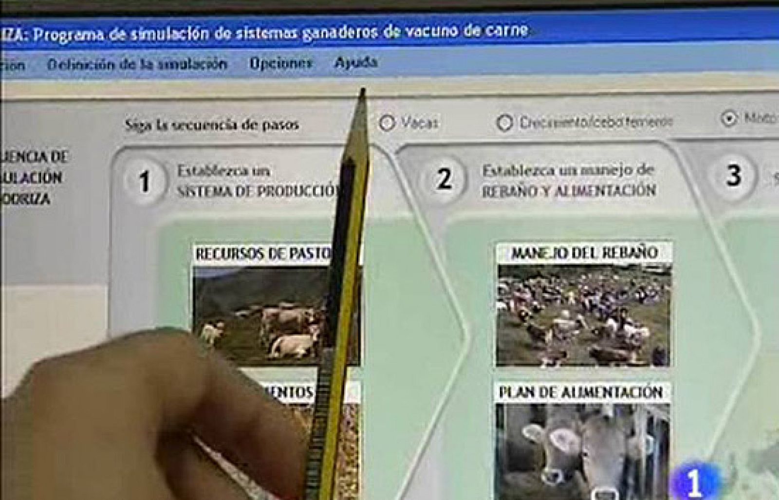Un programa de ordenador facilita el trabajo a los ganaderos | Ver